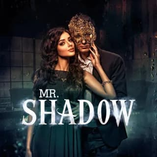 Mr Shadow
